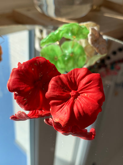 Hibiscus